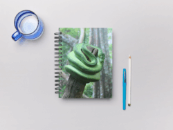 Green Snake Notebook