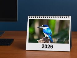 Desk Calendar -Australian Animals