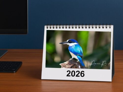 Desk Calendar -Australian Animals