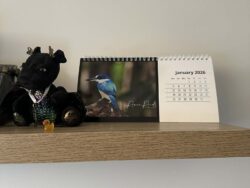 Desk Calendar -Australian Animals