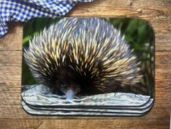 Echidna Placemat