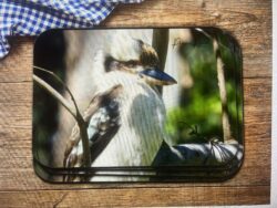 Kookaburra Placemat