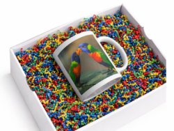 Kissing Lorikeet Mug