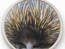 Echidna Keyring Round