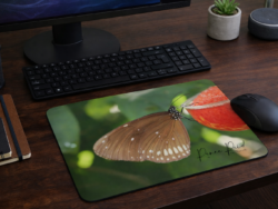 Butterfly Mousepad