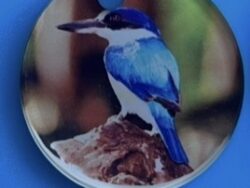 Kingfisher Keyring