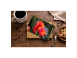 3 Tulips Placemats