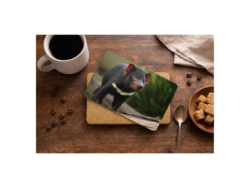 TASMANIA DEVIL PLACEMAT