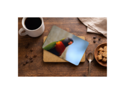 Lorikeet Placemat