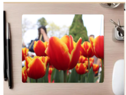 Two Tone Tulip Mousepad