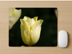 PALE YELLOW TULIP MOUSEPAD