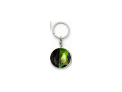 Green Frog Round Keyring